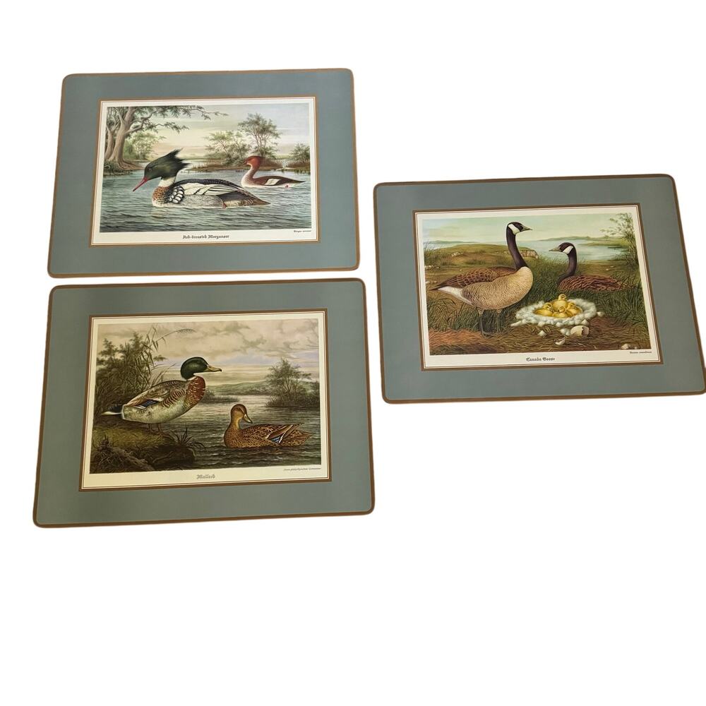 Vintage Pimpernel Waterfowl Placemats Set English Country Manor Hunting Lodge